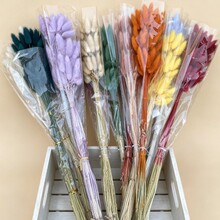 ��β�ݸɻ�������Ȼ�滨�Ɍ�DIY�ͶYƷ�Ҿ��b���ϏS�ҬF؛���l