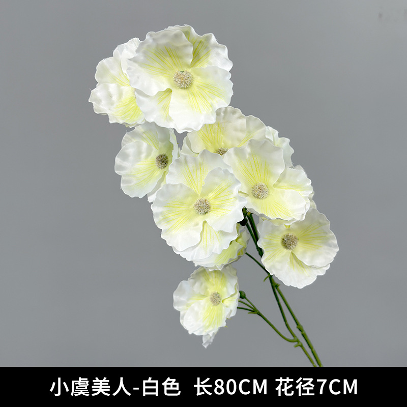 Xiaoyu Beauty-White