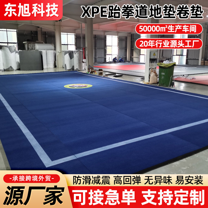 Martial Arts Fighting Taekwondo Floor Mat Boxing Hall Sports XPE Children's Paradise Soft Bag Anti-collision Easy Cleaning Roll Mat