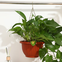 跨境亚马逊悬挂吊篮绿植花盆绿萝大花盆树脂塑料加厚吊兰盆阳台花