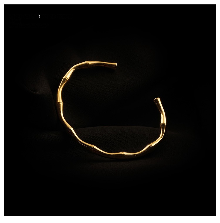 Elegant Bamboo Titanium Steel Plating Bangle display picture 2