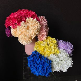 ���^�����黨������滨�Ƶ��Y���b��ı�������������ٻ�