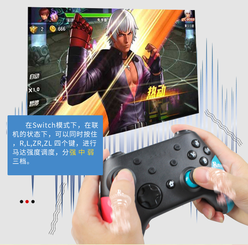 switch手柄04.jpg