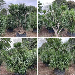 ���~��Ѫ�� �������F�� ���^��횘� ��ꎺ��B�Ꭷֲ��