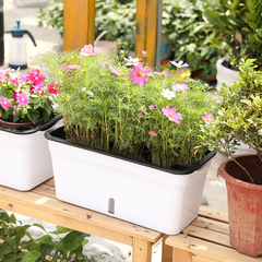 批發種菜花盆栽蔬菜種植箱家庭陽台塑料自吸水懶人長方形專用箱大