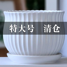 մɻ莧бPش̖҃ȼõmG}l͸g