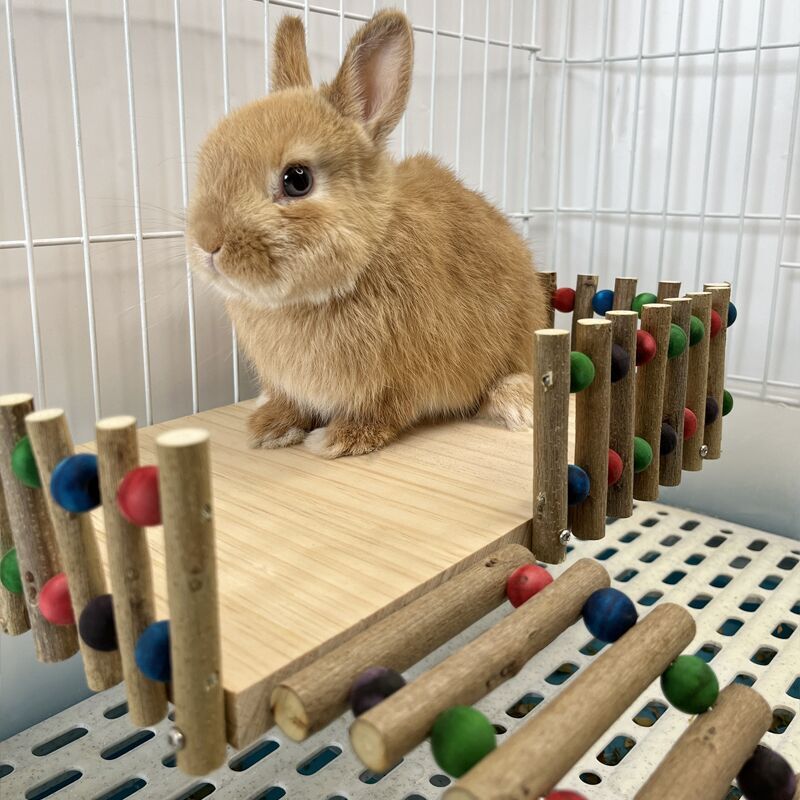 QQ图片20220330155734