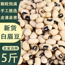 ��؛��ü��5������r���Ԯaܿ���������׶���׶������Ҝ����l