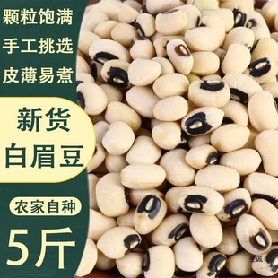 ��؛��ü��5������r���Ԯaܿ���������׶���׶������Ҝ����l