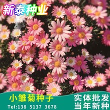 rշN̨ļ׻NӻԻѸɻл^pܷNl