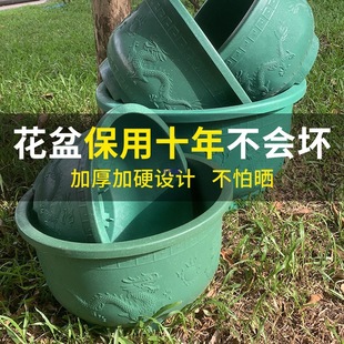 ���ϻ����ش�̖ͥԺ����Nֲ�軨���̖������Ӻ��ڏ����]