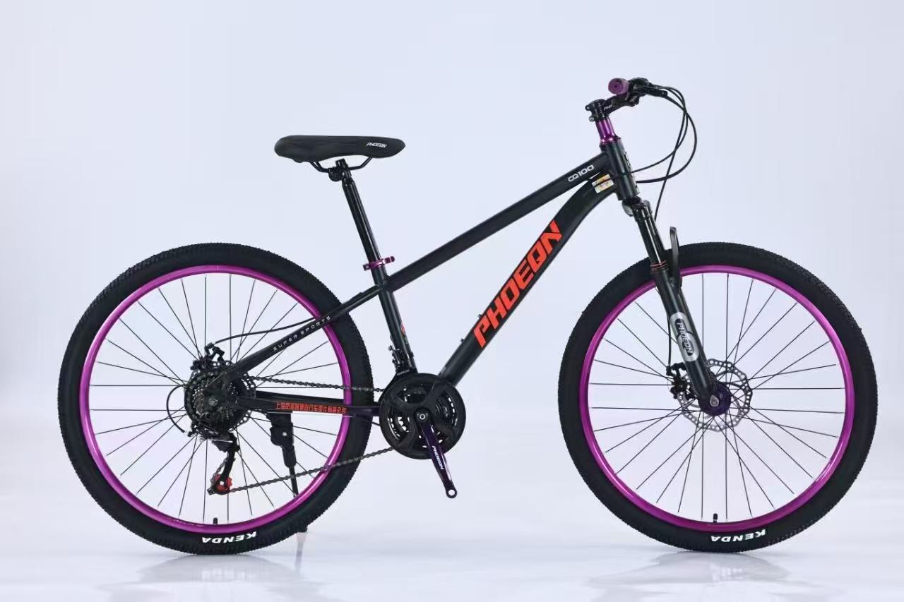 Bicicleta de montaña de cambio de velocidad para adultos