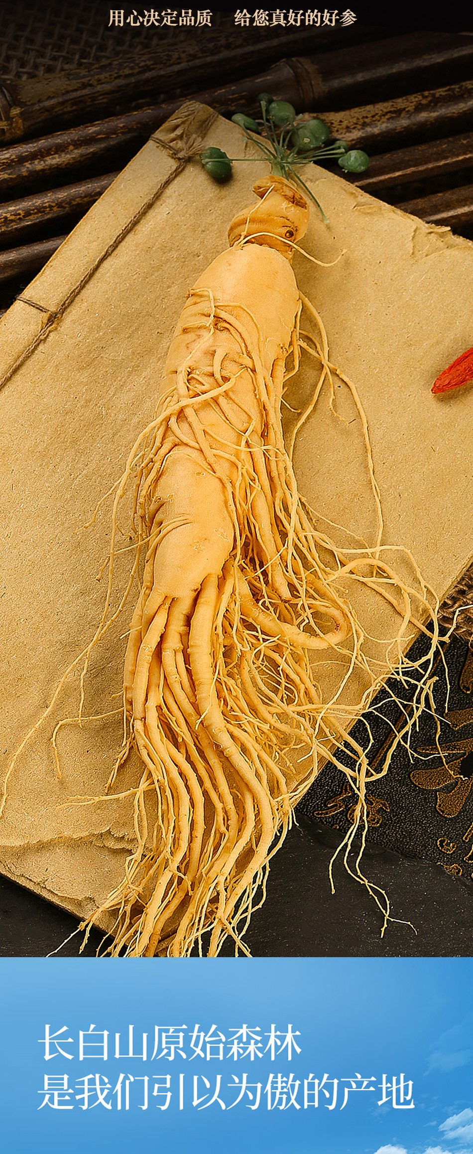 Fresh Ginseng Roots for Cooking and Herbal Soup 15g Pack of 10 Roots from Jilin key features