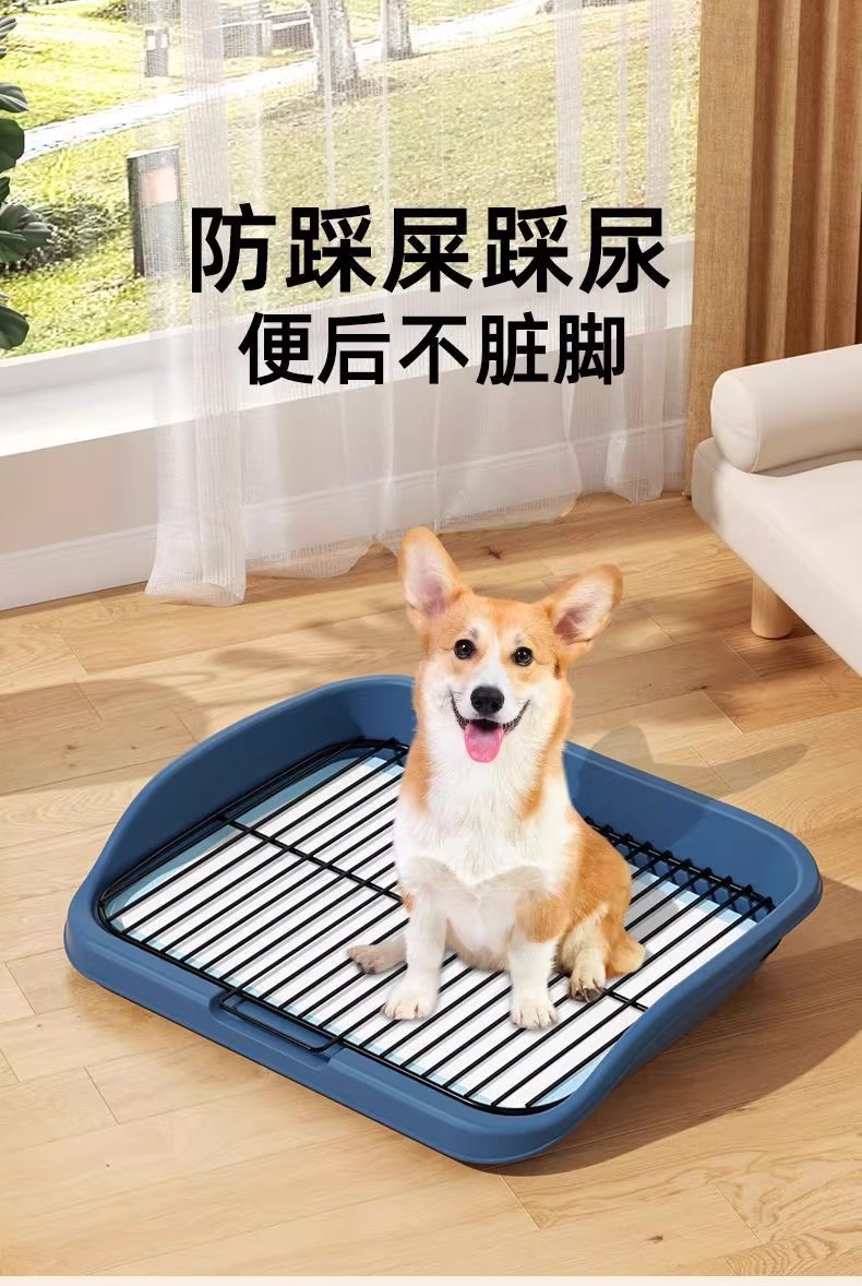 O1CN01wWtNFr2APMtAScg0U_!!2743028195-0-cib.jpg