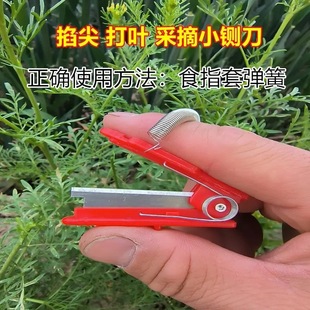 ��ժС厵���ժĴָ���߲˶����S�ϲ�ժ������������횴��~���o