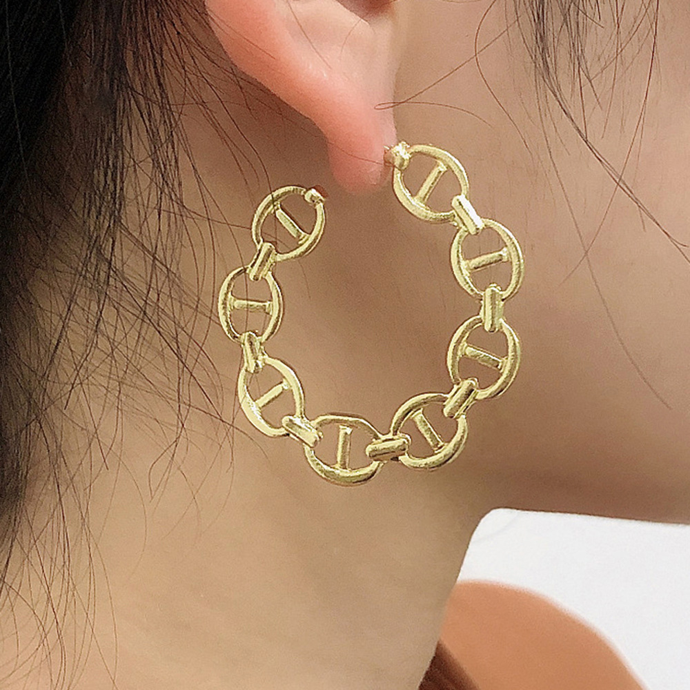 Simple Fashion Chain Exaggerated Geometric Earrings display picture 13