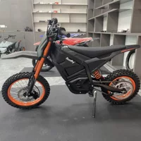 Экспорт 17inch 14inch года, российский электрический горный велосипед для взрослых, внедорожный мотоцикл, скутер для бездорожья