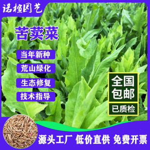 ���{�˷N�ӿ������u���Z�~���Bֳ�ļ����ݷN�Ӷ������L�׷Nֲ