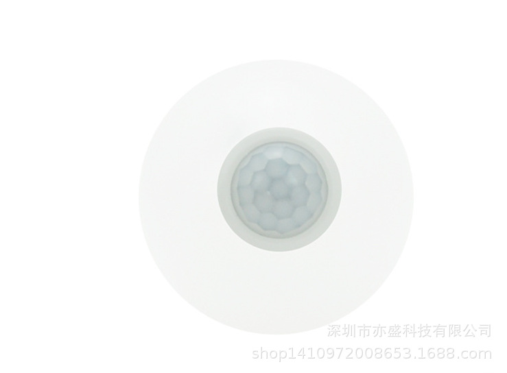 PIR 人体红外球泡图片