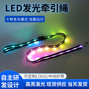 [10 Light-Emitting Modes] Led Color-Changing Luminous Traction Rope, Cool Supplies for Night Running, High-Brightness Dog ​​Rope