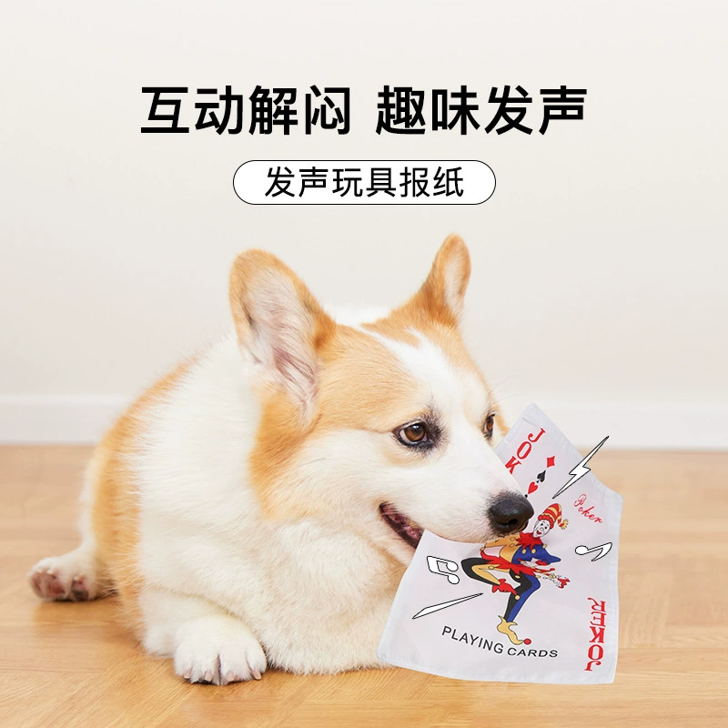 Toy, plush cards, pet, makes sounds