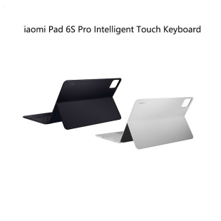 �m�� X�� Pad 6S Pro �����|���I�P
