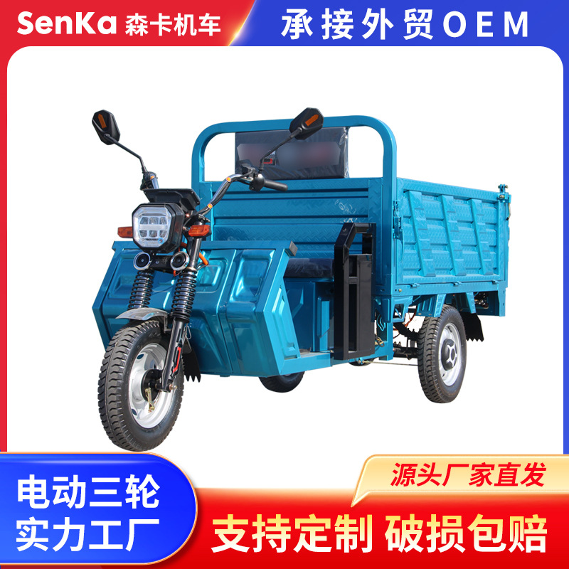 Triciclo eléctrico de carga de montaña de carga de montaña camión rey tres trampones agrícola doméstico camión de carga batería granja