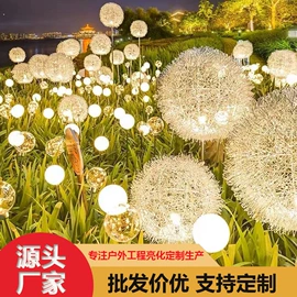 LED装饰灯;草坪灯