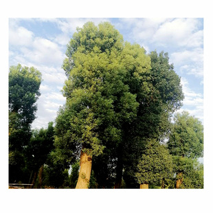 ����ֱ�� ���� ��Ʒ������ ������� ���U���� ����r��