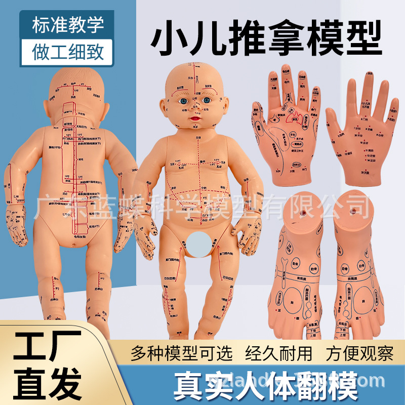 Ӥ������ģ�Ͷ�ͯ��������ģ�������ҽͨ��ѨλС�����÷���ģ��