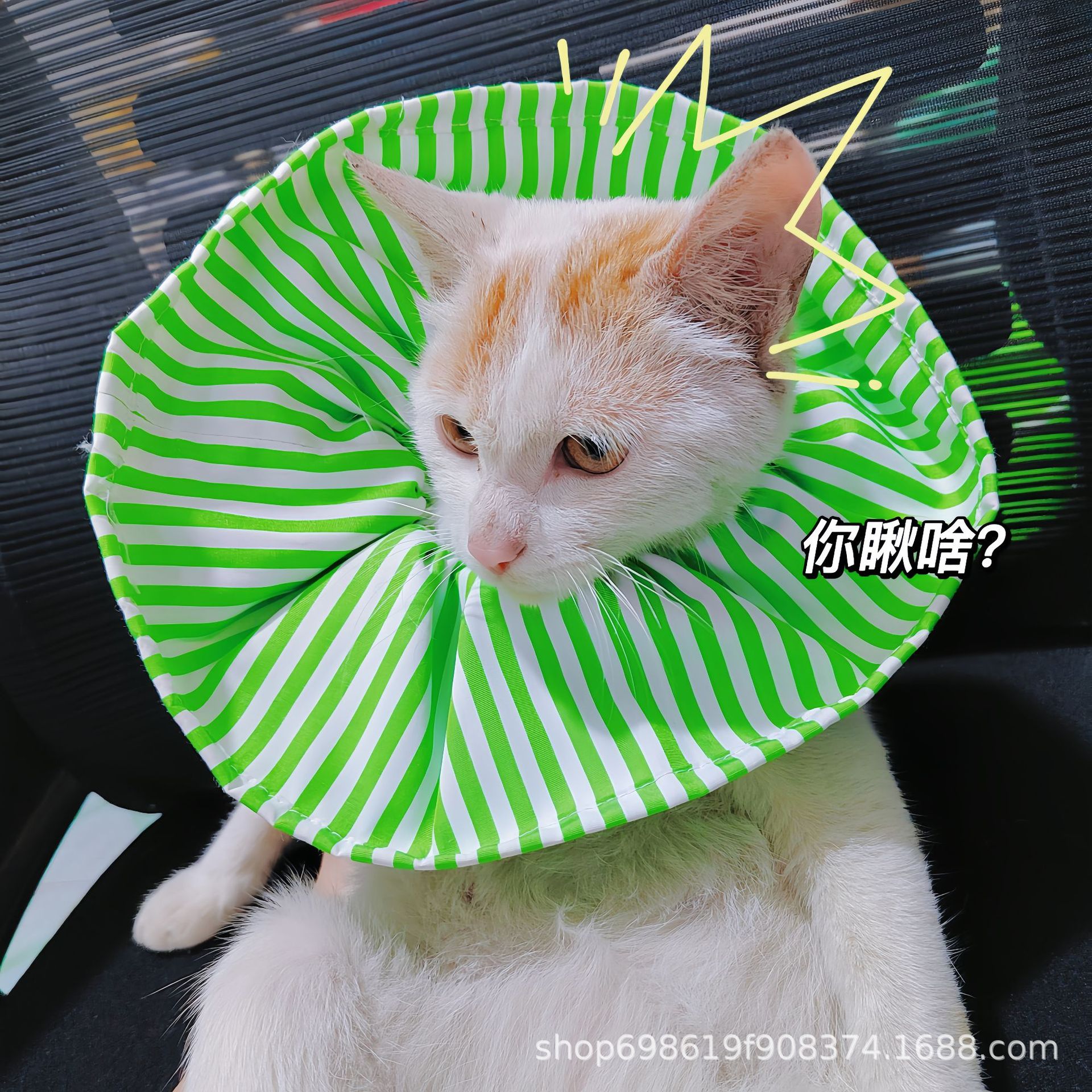 edb956560d3953e847fa559e02a131