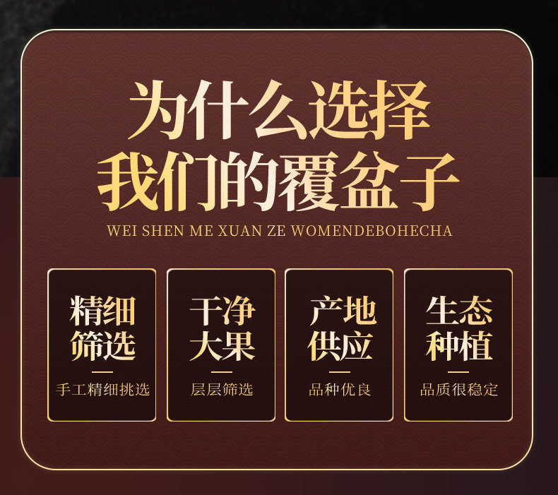 Fu Pen Zi Dried Raspberry Fruit 500g Herbal Tea for Infusions and Blends overview
