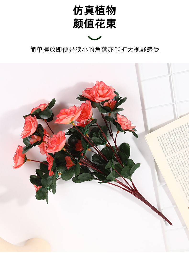 详情_03.jpg?x-oss-process=image/format,png