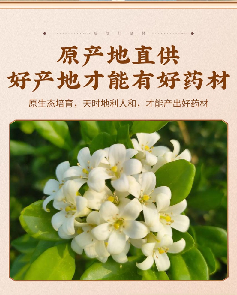 Dried Murraya Paniculata Qian Li Xiang Aromatic Herb 500g for Braising Hotpot and Culinary Seasoning key features