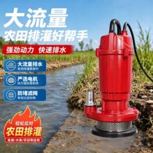 家用大流量潜水泵220v高扬程农用灌溉污水泵跨境热销中小型排污泵