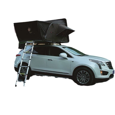 canopy, Avtomobil dam çadırları