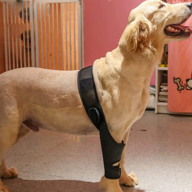 Защитный бандаж для бедра собаки, пояс для ходьбы после операции, регулируемый поддерживающий пояс для суставов животных