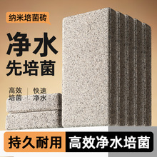 跨境鱼缸水族箱滤材纳米大方砖原矿净水培菌石底滤细菌屋过滤材料
