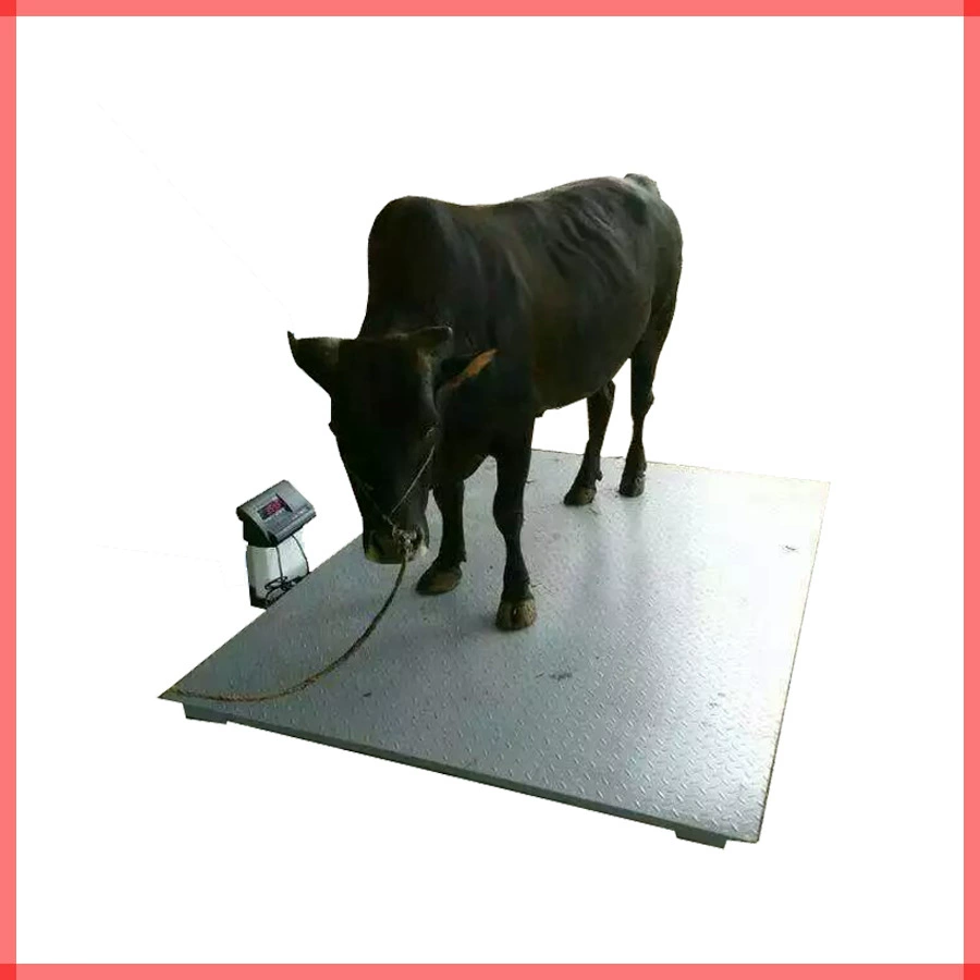 Малый напольный вес 2000 кг Размер столешницы опциональный логистический экспресс взвешивание электронной платформы весы