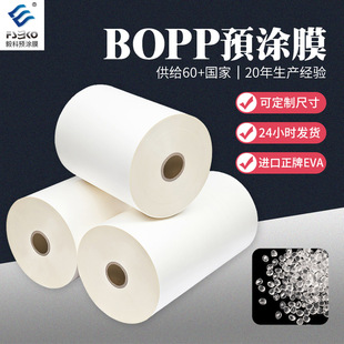 300310320����оBOPP�A�TĤӡˢ���oĤ�↡Ĥ���b��Ĥ����۱�ϩ