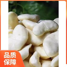 洪湖菱角新鲜去壳老菱角米青菱角真空冷冻蔬菜湖北特产3斤包邮