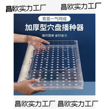 �����r�ò��N�ք������n�S�¿�С���˹����N����P����������