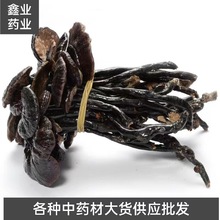 灵芝批发 竹灵芝 云南竹灵长颈灵芝 当季新货 量大从优灵芝