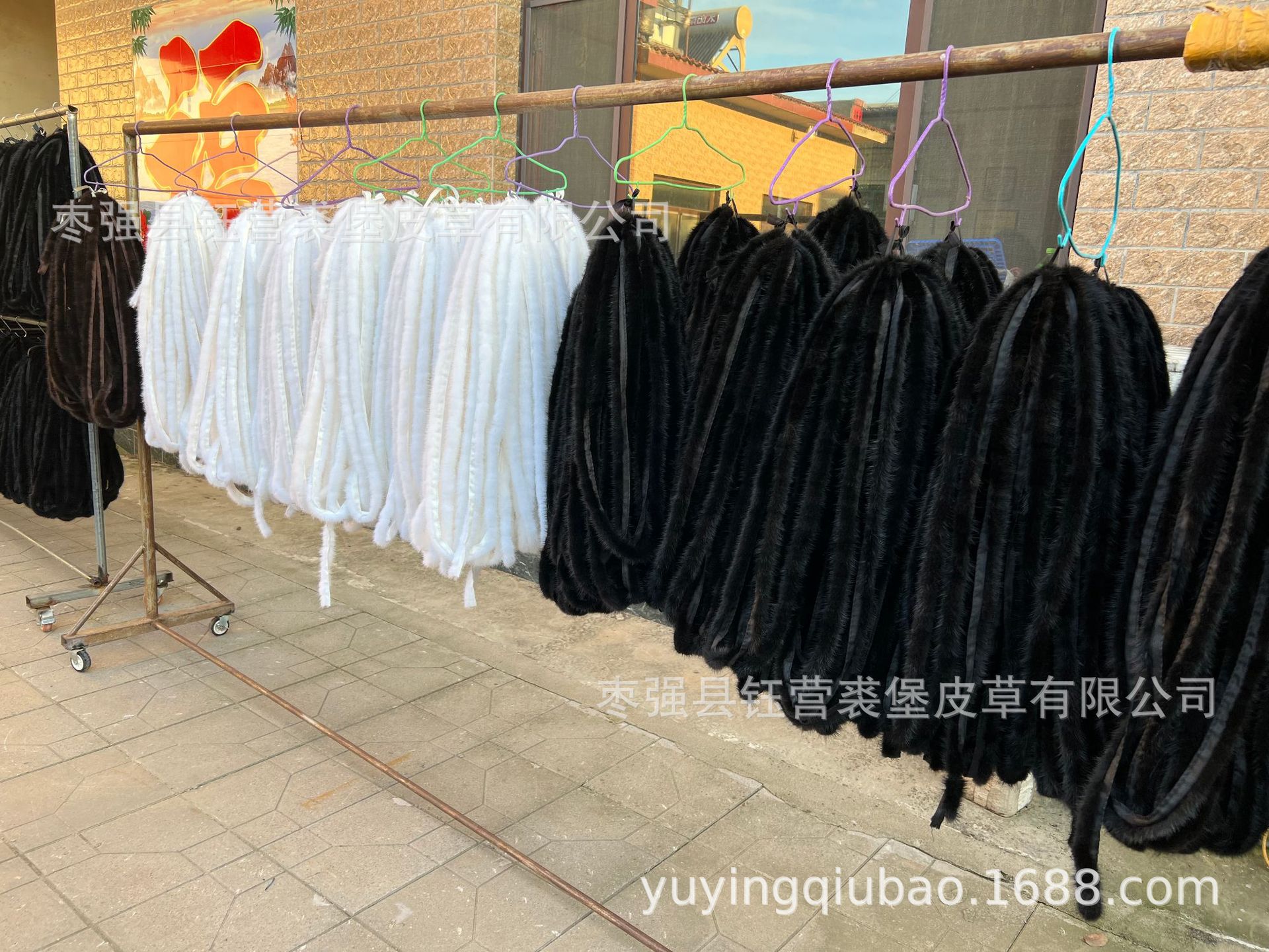 微信图片_20250319221637