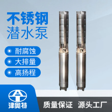 双相钢井泵耐腐蚀深井泵变频式井用泵海水提升泵大流量泵