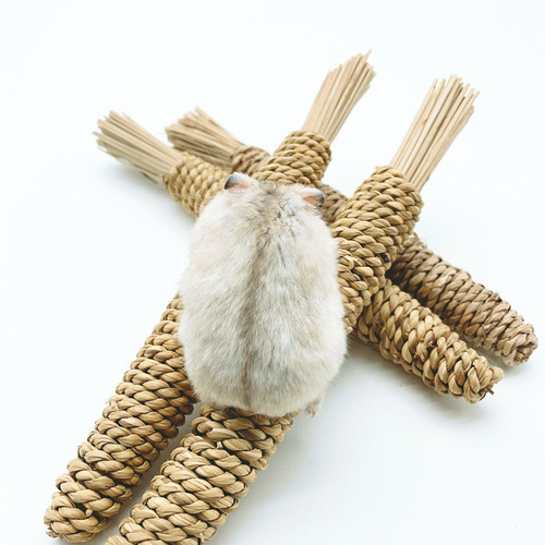 Aquatic grass radish small pet straw molar toy rabbit chinchilla hamster pet molar pet chewing molar toy