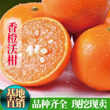�޽Ӹ�����ȼ��ָ���̽ۘ����Ϸ����Ե��ԷNֲ����Y������Ʒ�N