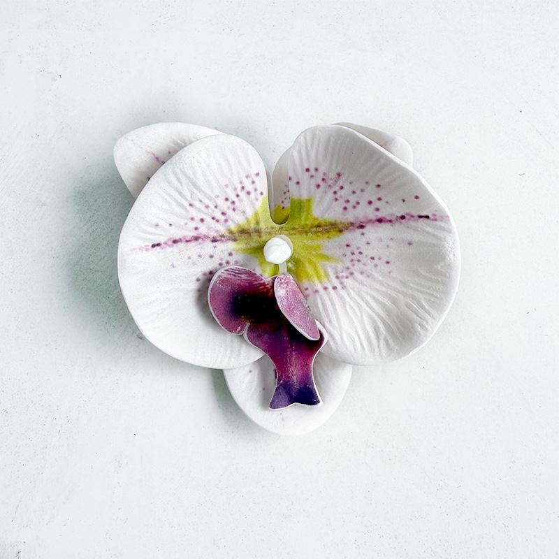 중간 에바 호접란 - 흰색과 보라색