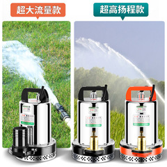 直流水中ポンプ バッテリー電動車用ポンプ 12V24V36V48V60V72V 家庭用 農地灌漑 野菜水やり