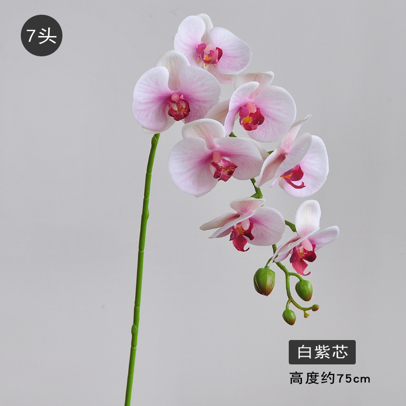 7 헤드 화이트 퍼플 코어